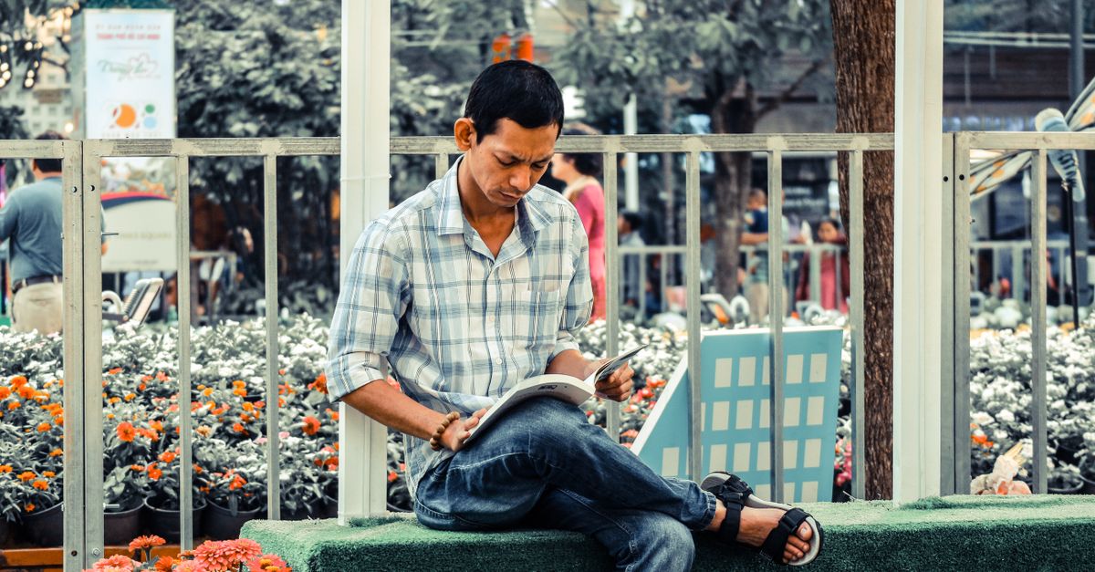 A man sits on a bench in a park reading a book, surrounded by flowers.