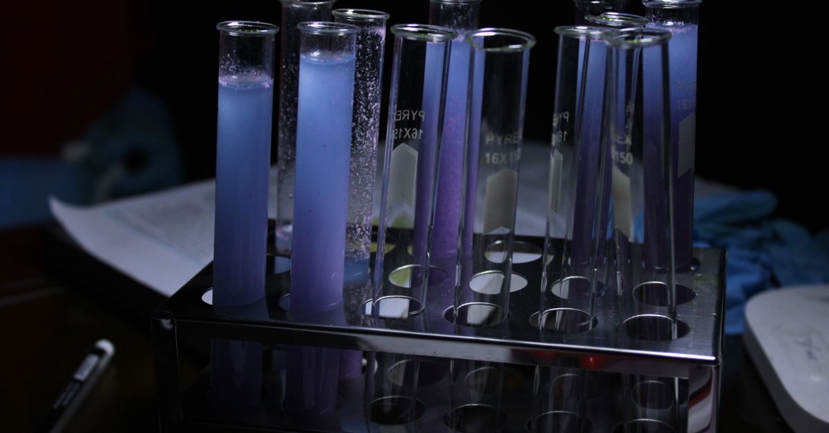 A vivid array of purple solutions in test tubes during a chemical experiment.