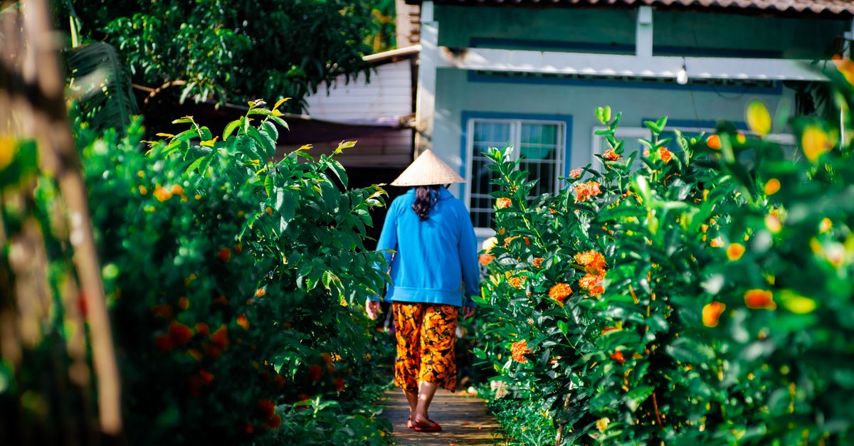 A woman wearing a traditional conical hat walks through a colorful garden in a rural setting.