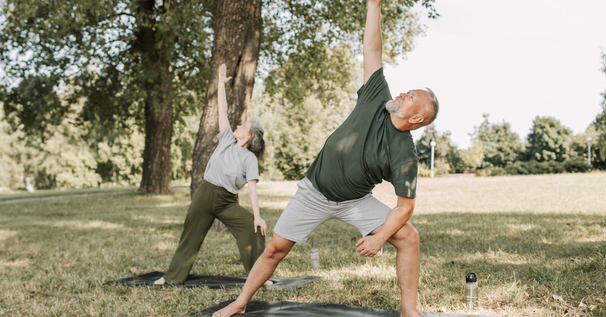 Senior couple enjoying yoga workout in the park, doing standing yoga poses on mats in a sunny outdoor setting.