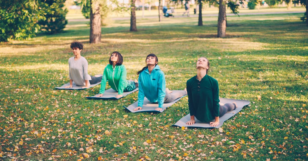 A group of adults doing yoga outdoors on a sunny day in a lush park.