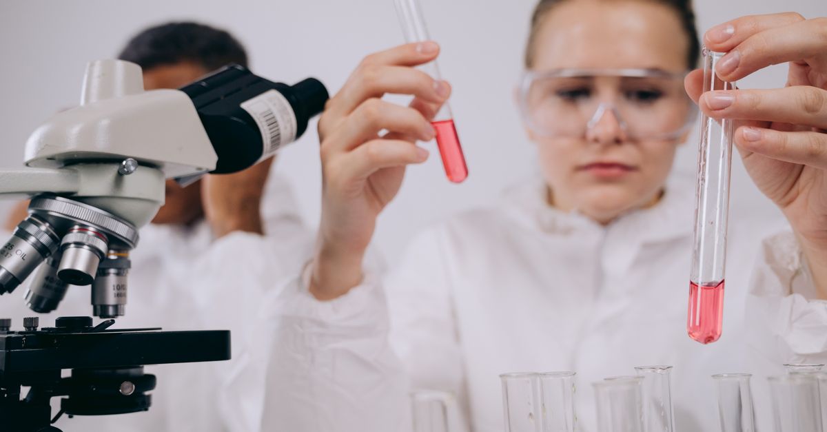 Researchers conducting experiments in a laboratory setting using microscopes and test tubes.