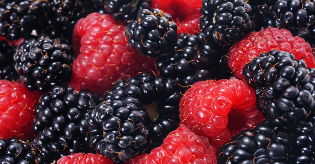 A vibrant close-up of fresh raspberries and blackberries, highlighting their natural colors and textures.