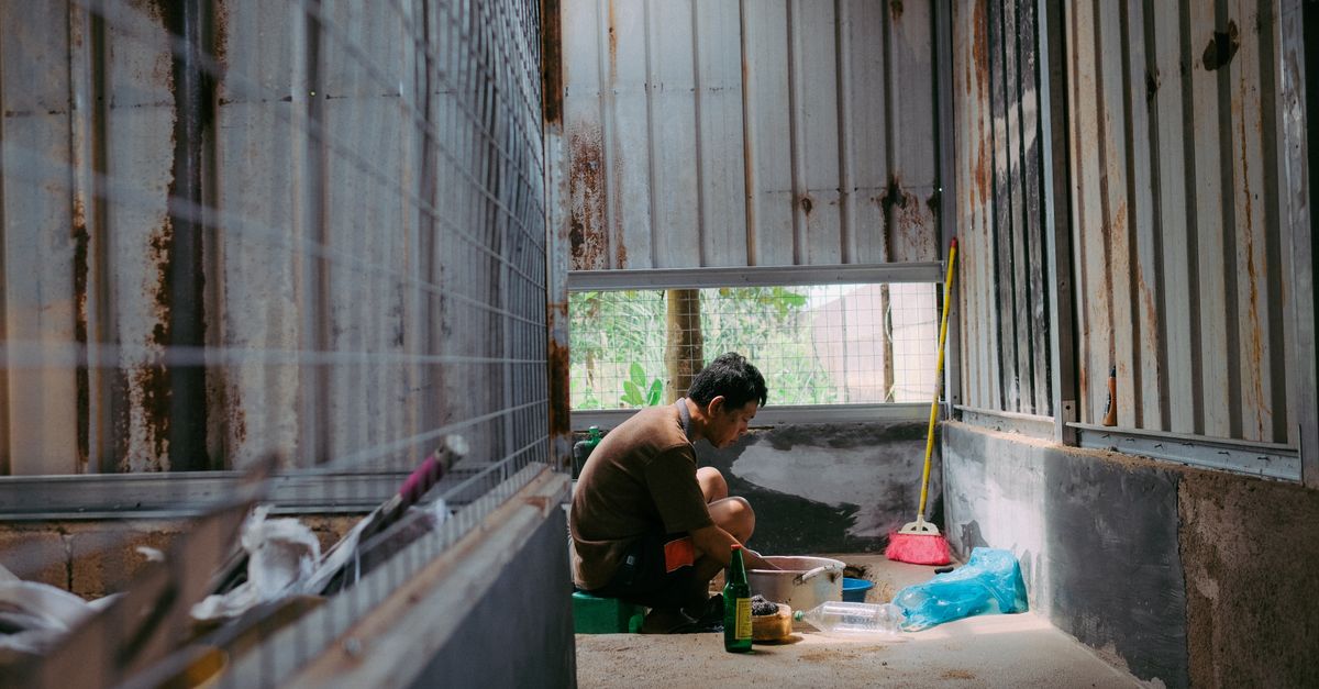 A man sits indoors sorting items in a rustic rural shed with natural light.