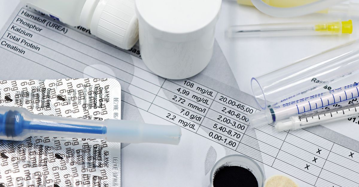 Vet supplies like syringes and medicines on blood test reports, suggesting medical care theme.