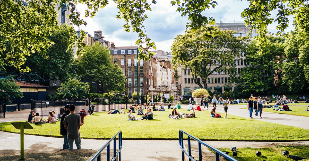 People enjoying leisure time in a lush London park on a sunny day.
