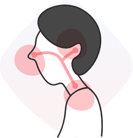 Ear, Nose & Throat