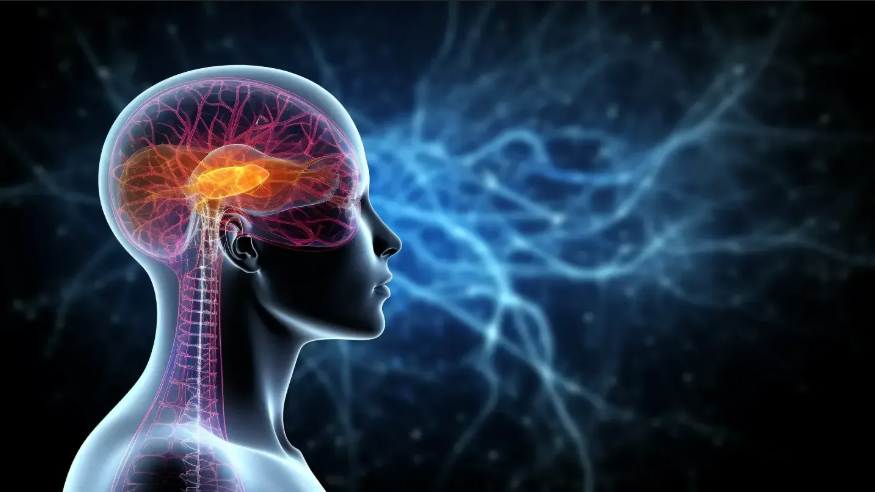 Abstract background with brain waves