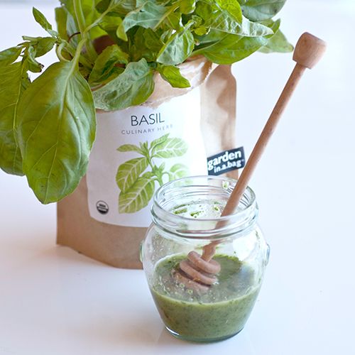 basil for kidney stone treatment at home