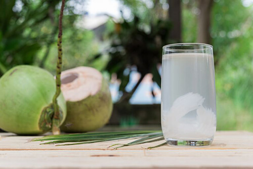 Coconut water increase the body’s urine