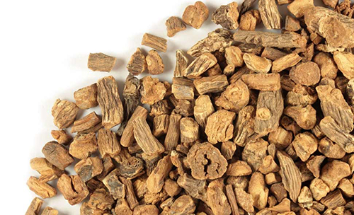 dandelion root for kidney stone treatment