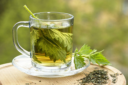 nettle leaves