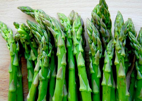 Use Asparagus racemosus for Erectile Dysfunction