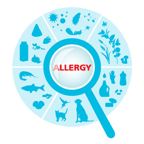 effect of food in sinus
