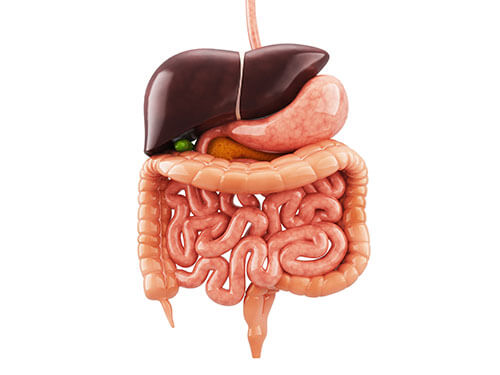 difficulty in digesting fat
