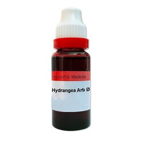 Hydrangea arborescens Homeopathy Treatment