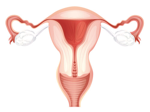 pelvis causing inflammation