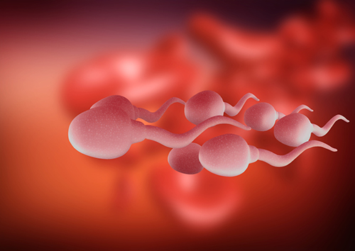 diagnosis of the low sperm count