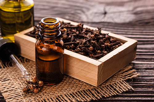 clove oil to treat uti without antibiotics