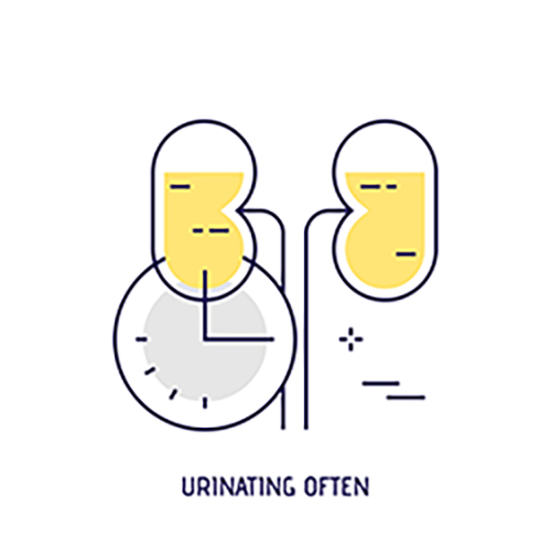 urinate in uti