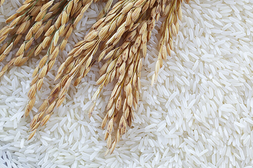 pictorial representation of polished rice