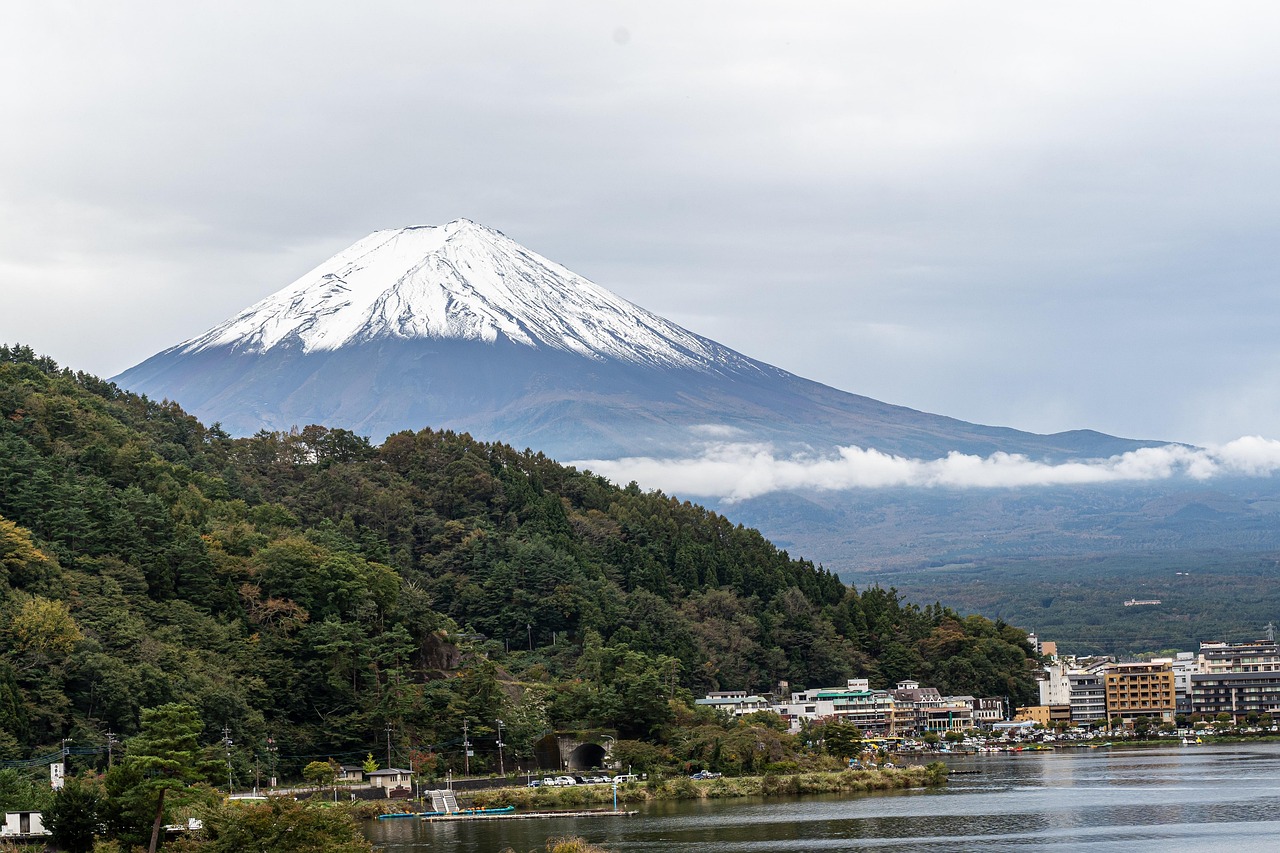 Mount Fuji background