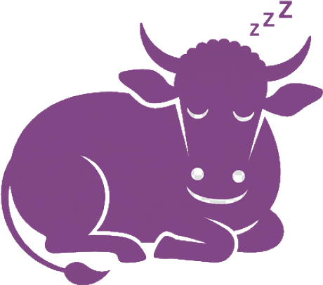 Betsy the cow taking a nap