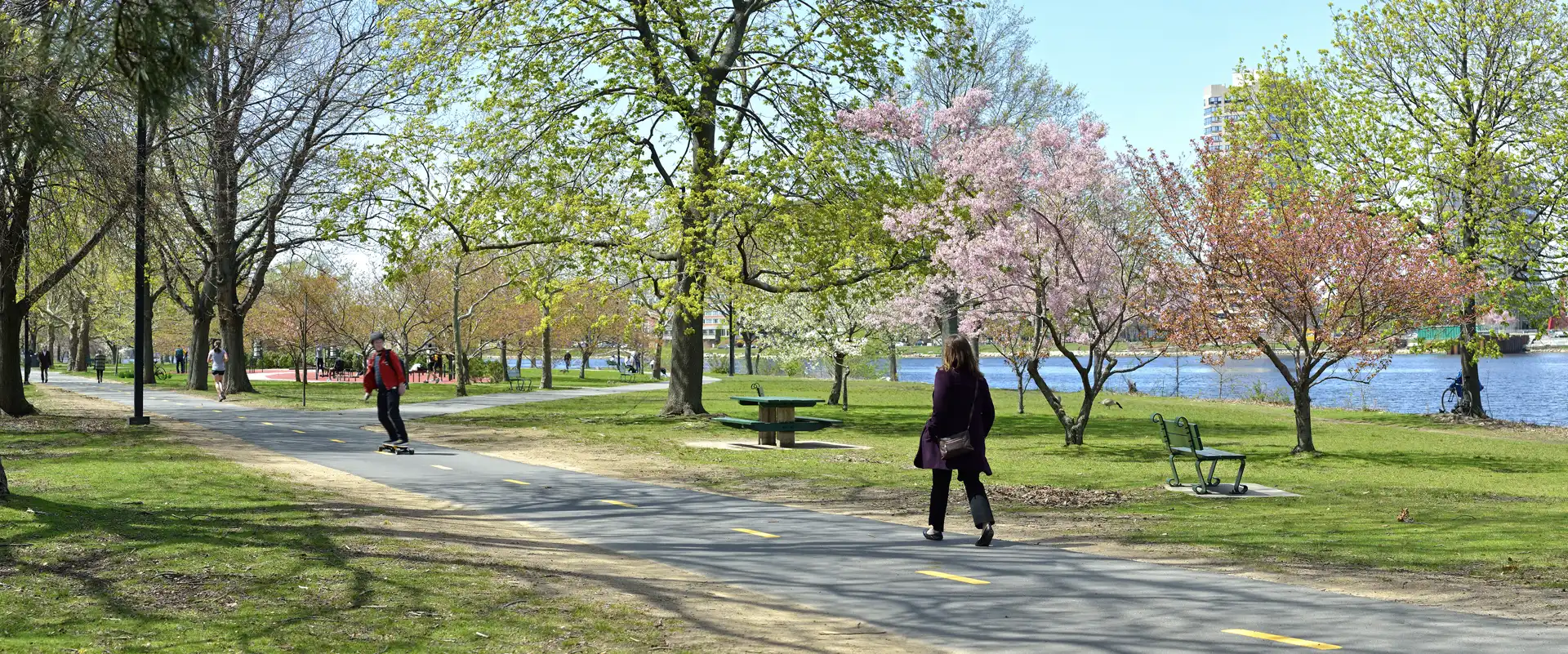The Charles River Esplanade