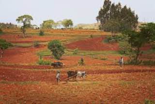 ለአንድ ሰው ምን ያህል መሬት ይበቃዋል?