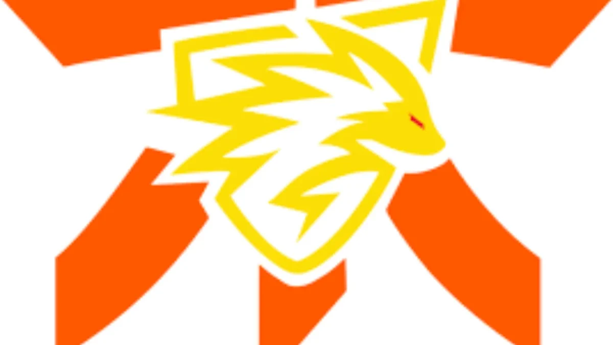 Logo Fnatic dan Onic E-sport