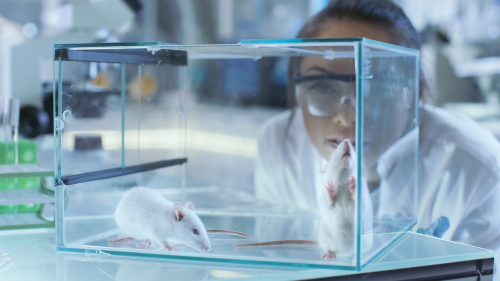 Can an experiment give incorrect results?