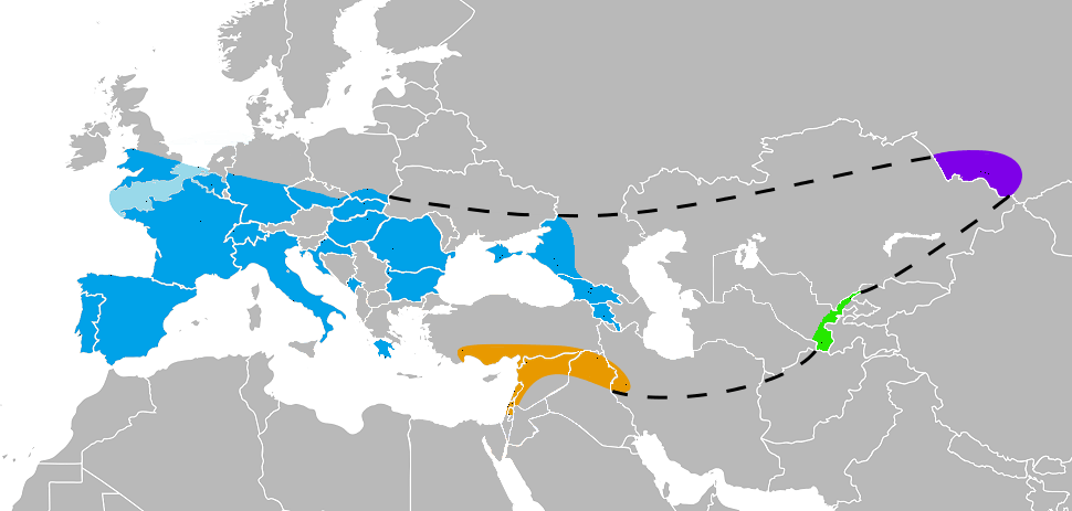 Where did the Neanderthals live?