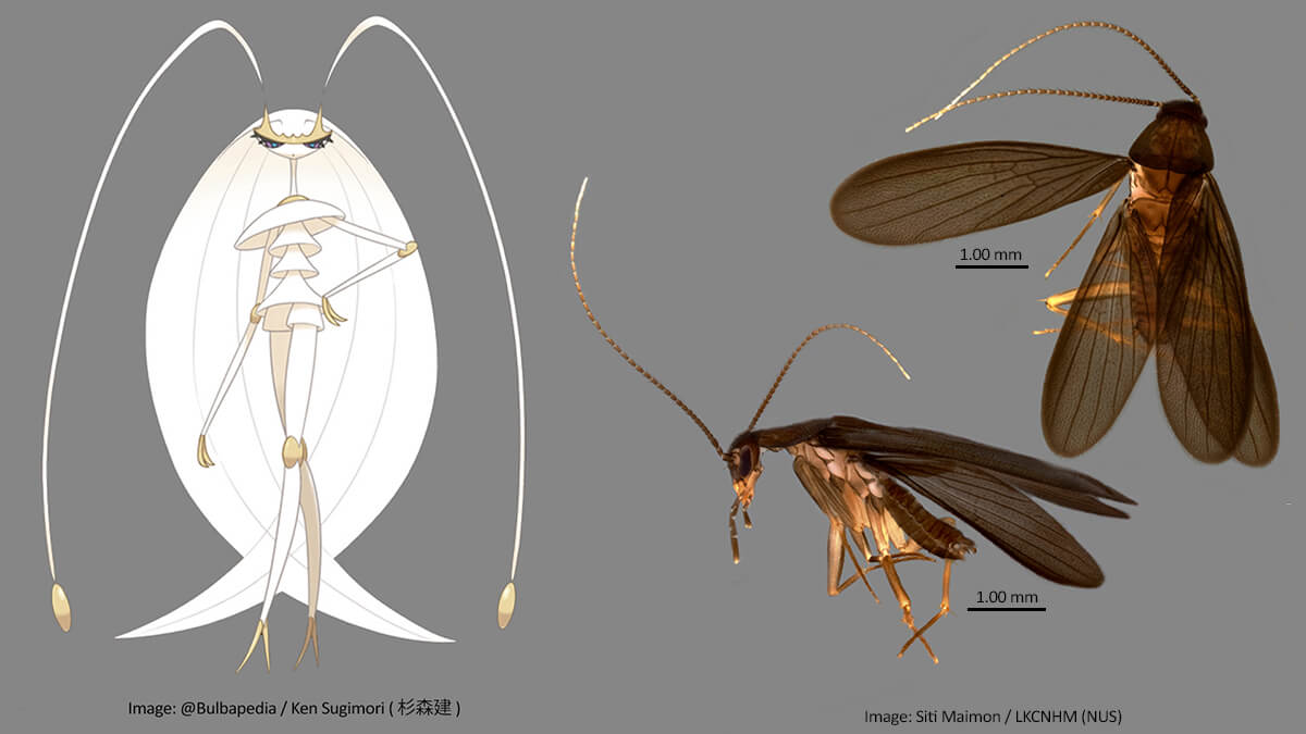 How did scientists find out that this was a different species?