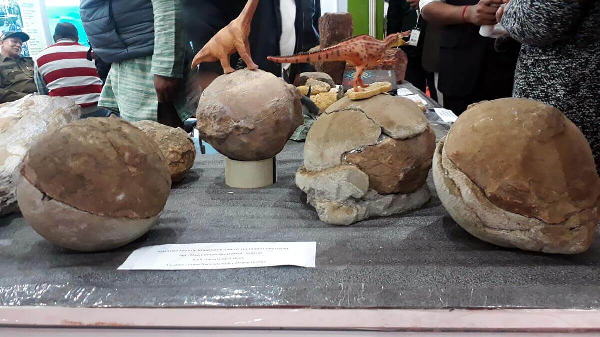 What have scientists discovered in the Narmada Valley?