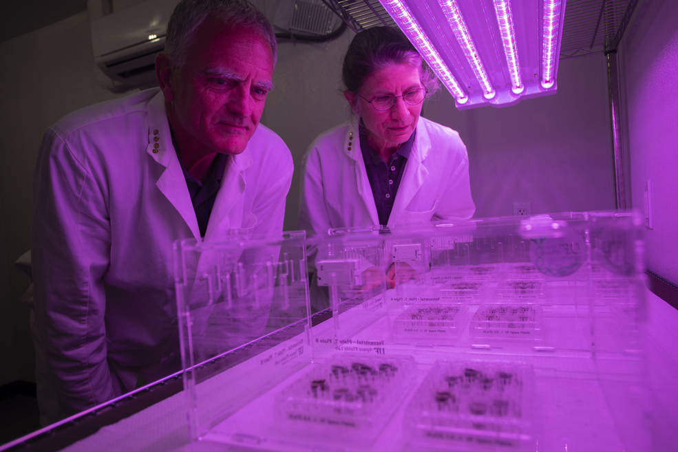 How did the experiment go?
