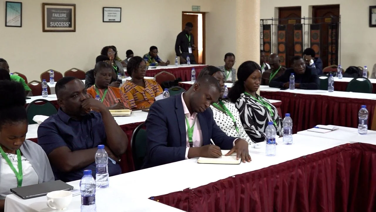 Experts Warn Ghana of Major Fiscal Challenges Ahead