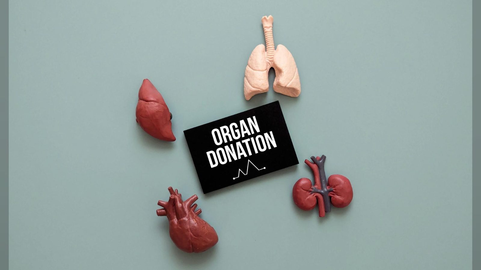 First-ever NHS urgent appeal as organ donor numbers drop 9%