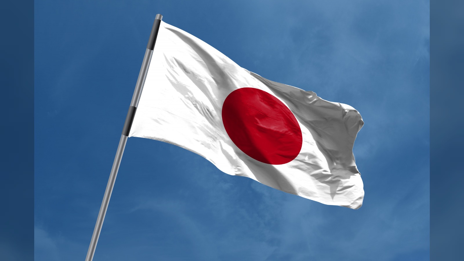 Japanese firms slow to use AI despite labour shortages