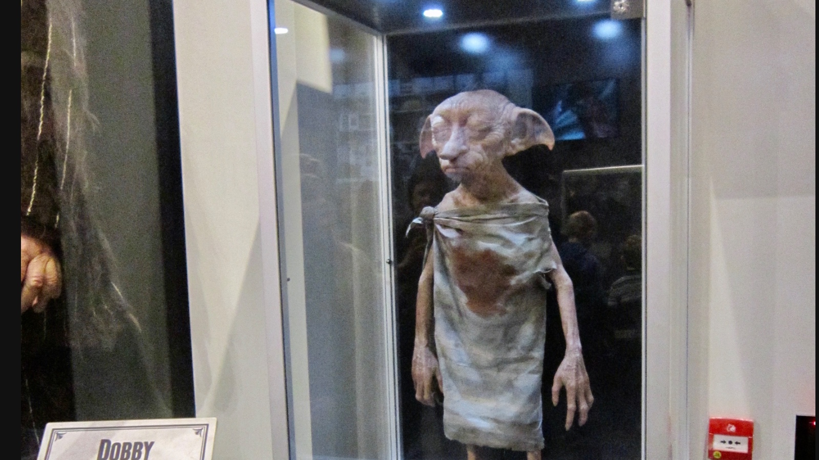Harry Potter fans force power cable to avoid Dobby's grave