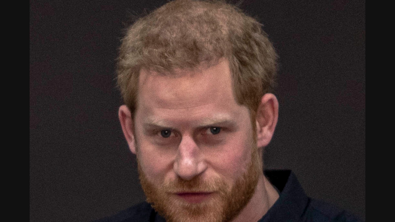 Prince Harry leaves African Parks board after abuse claims