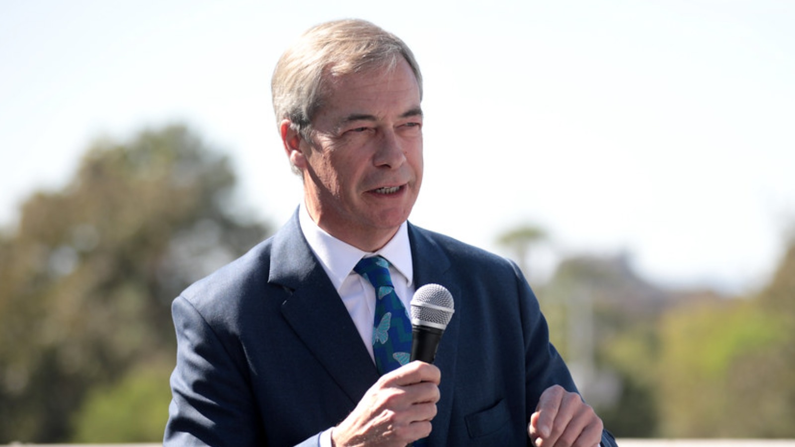 Nigel Farage receives 30 weekly death threats