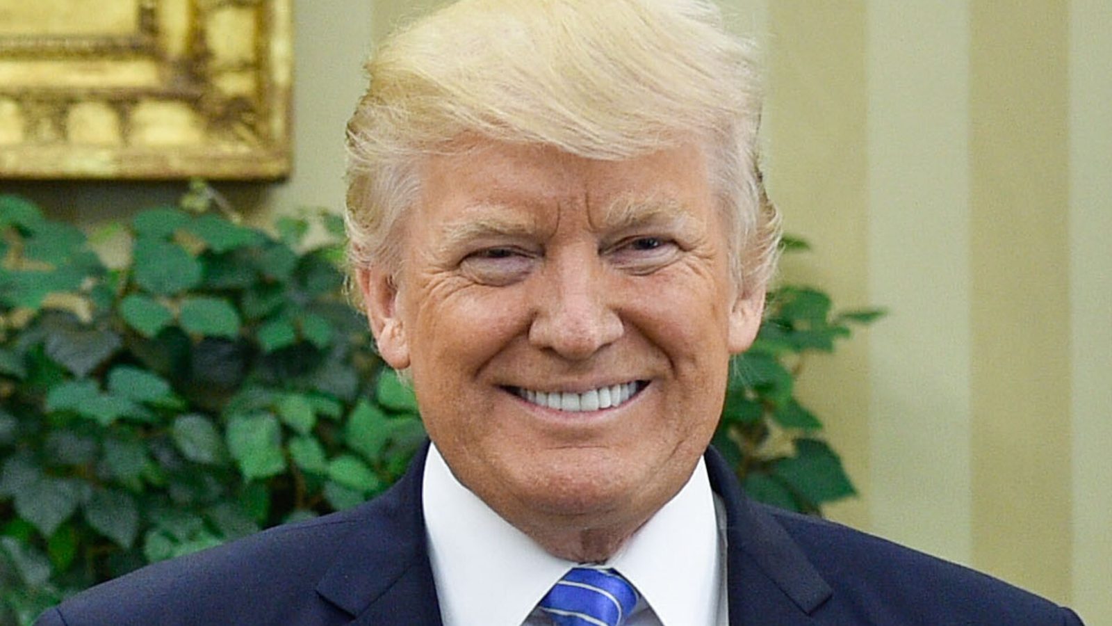 Donald Trump says America has enough tools to keep artificial intelligence safe