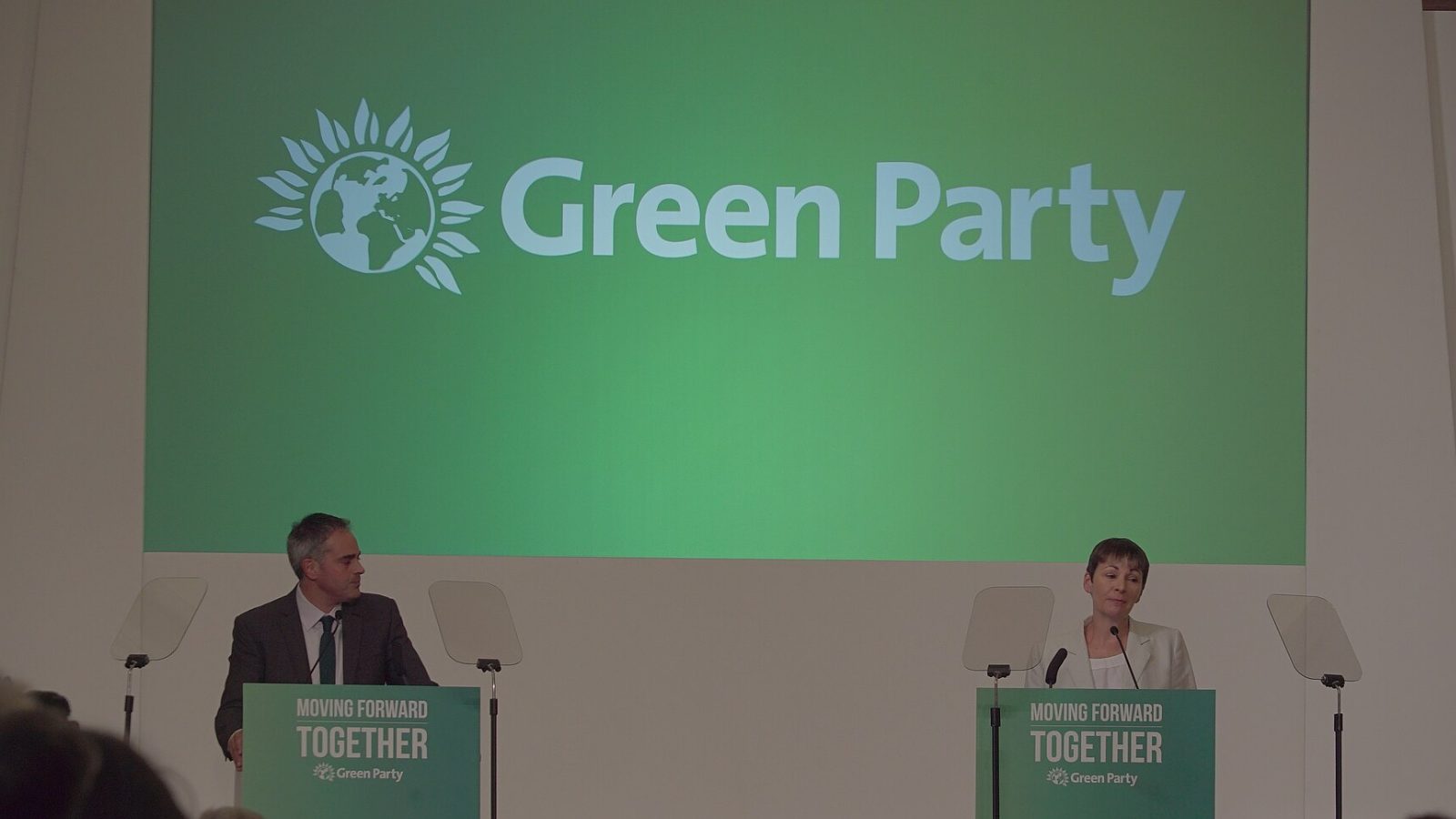 Green Party draws international backlash over Zionism as racism vote