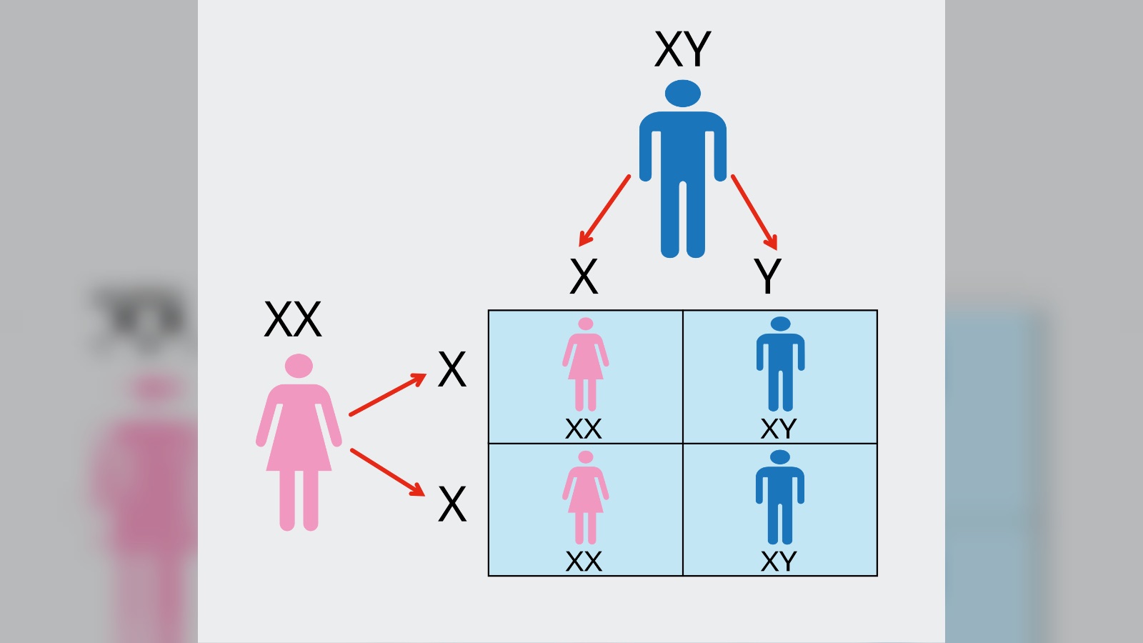 Loss of Y chromosome could signal early cancer risk in men