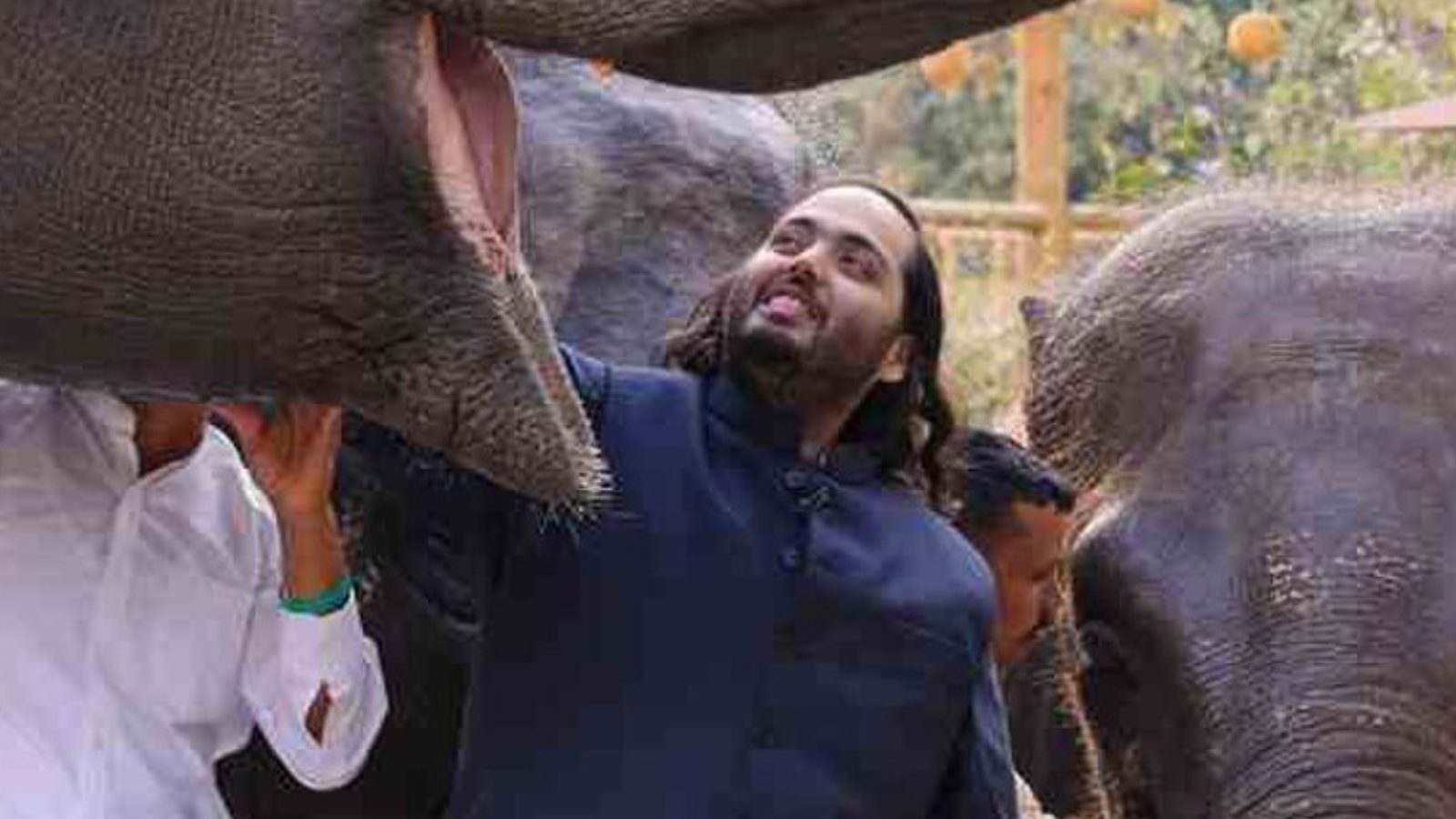 Backlash as Indian oil heir Anant Ambani made professor of sustainability by Newcastle University