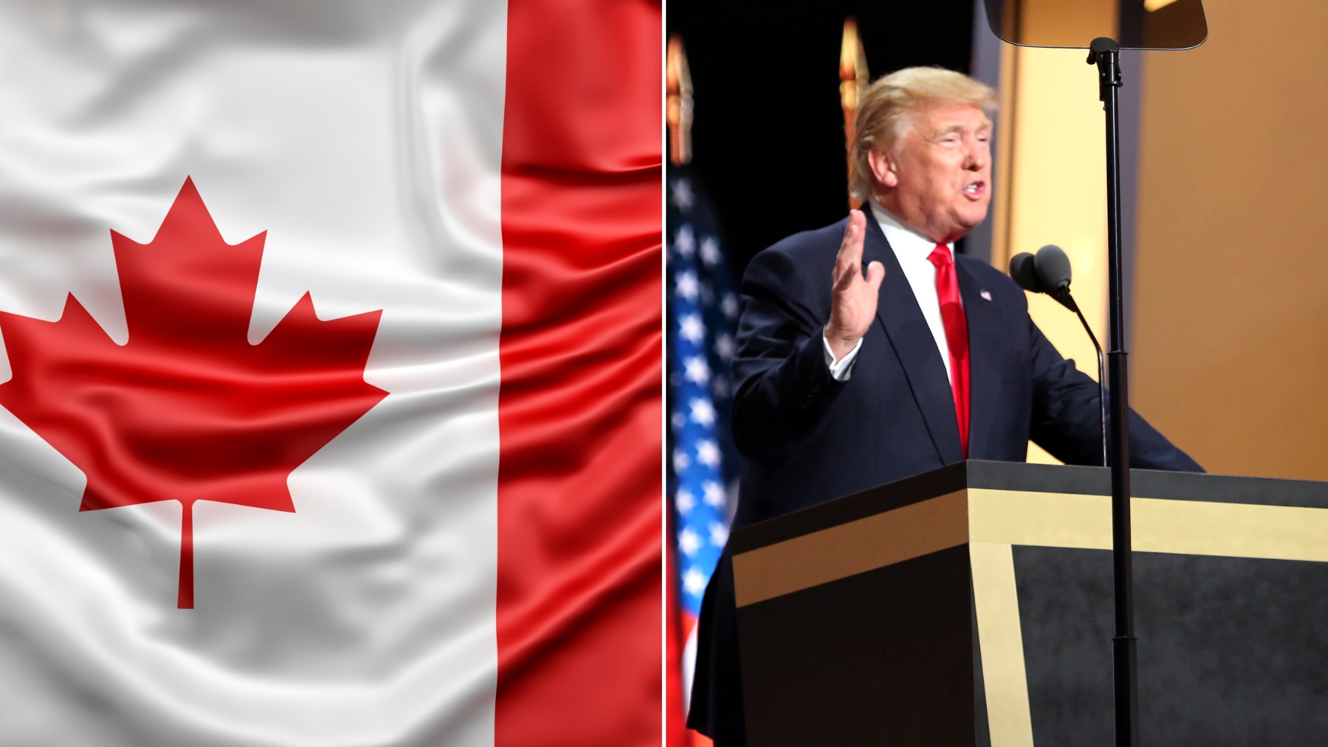 Trump hits Canadian wine and hockey sticks with 50% tariffs