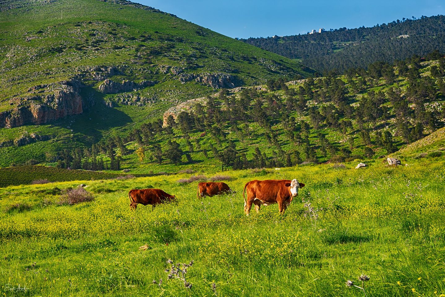 Any49ZBbBmUqxnGRMU7Topmoai33%2Fimages%2Ffull%2F1618155123756