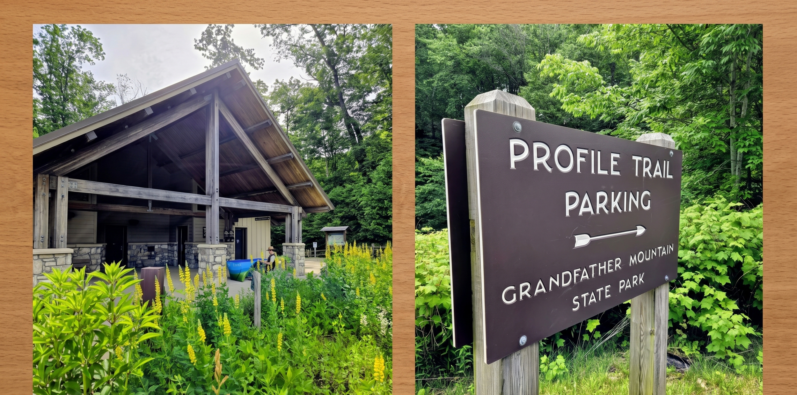 Profile Trail on Grandfather Mountain Reopens! 