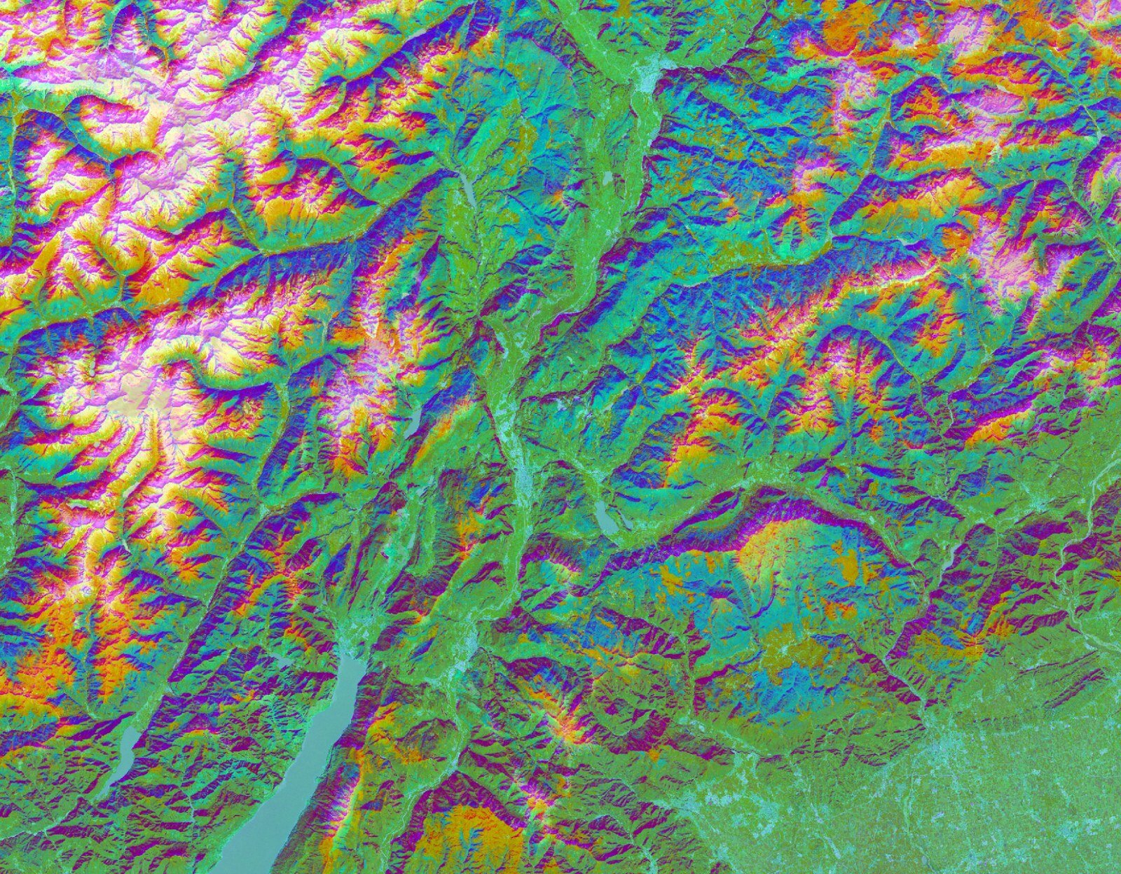A faster, cheaper way to map the world's forests with AI