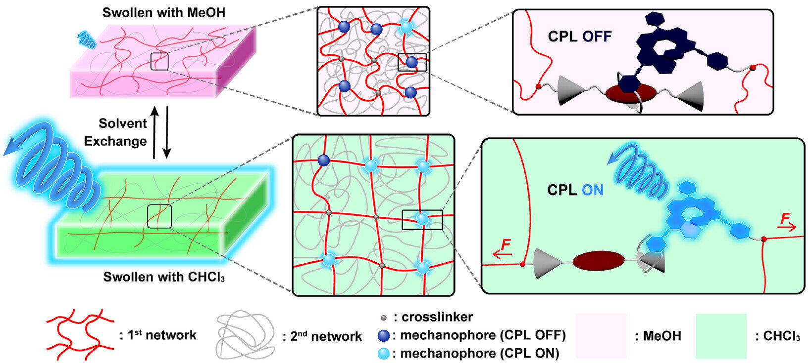 A mechanically tunable molecular switch for circularly polarized light emission